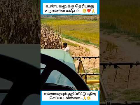உண்பவனுக்கு தெரியாது உழவனின் கஷ்டம்!.. #shorts thumbnail