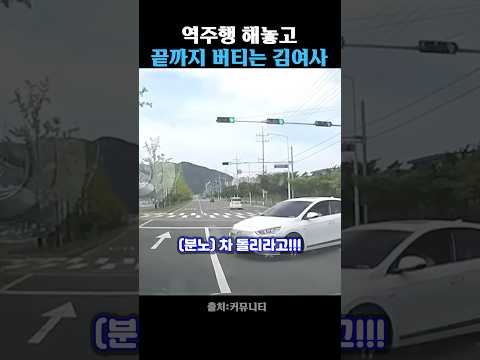 당당하게 역주행하는 김여사 thumbnail