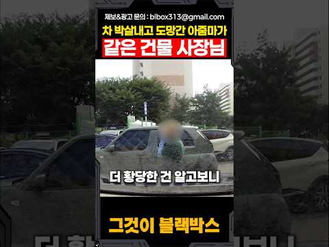 차 박살내고 도망간 아줌마가 같은 건물 사장님 thumbnail