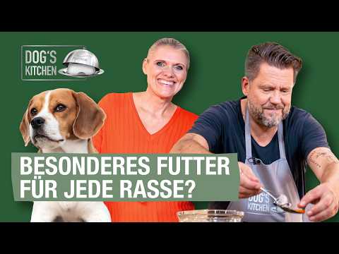 Individualisiertes Hundefutter – echte Lösung oder Marketing | Folge 4 | Dog's Kitchen thumbnail