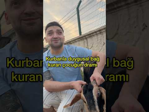 Kurbanlık koyunla duygusal bağ kuran o çocuk #shorts thumbnail