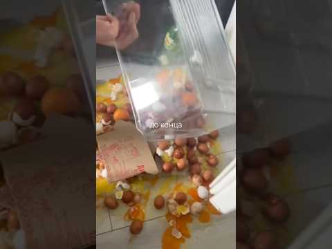 СИТУАЦИЯ СТРАШНАЯ | TikTok: elinka6538 thumbnail