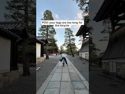 POV: riding a bicycle in Japan thumbnail