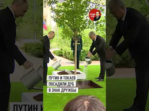 Президенты России и Казахстана вместе посадили дуб на Аллее дружбы в Астане thumbnail