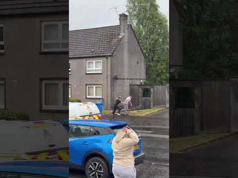 Straight into the bus stop ? thumbnail