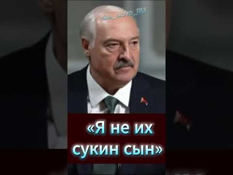 «Я не их сукин сын» — так Лукашенко прокомментировал политику европейских стран thumbnail