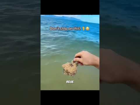 Non commettere questo errore in spiaggia! 😱 thumbnail