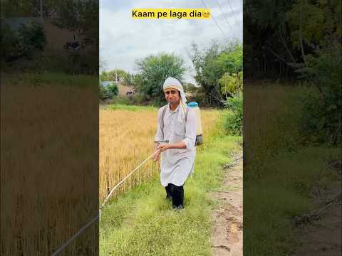 Exam khatam hote hi kaam pe laga dia? #comedy #funny #funnyvideo #comedyvideo #comedy #funnyshorts thumbnail