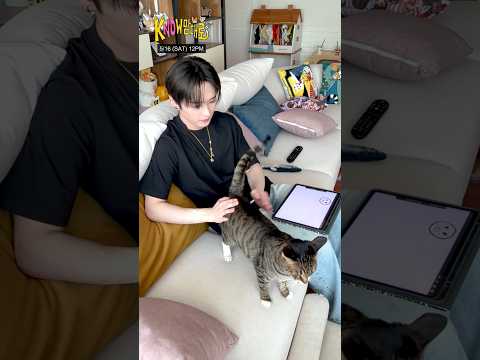 리노 하고 싶은 거 다 해(지마) #kNOw맘대로 #ThekNOwWay 커밍 순🐾 #StrayKids #스트레이키즈 #리노 #LeeKnow #YouMakeStrayKidsStay thumbnail