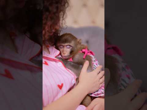 شفتوا فلوق عملت غابة لوردة 🙊⬇️⬆️ thumbnail