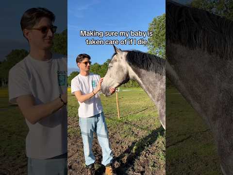 Me making sure if I pass away my horse has someone taking care of him 🥹 #equestrian #horsegirl thumbnail