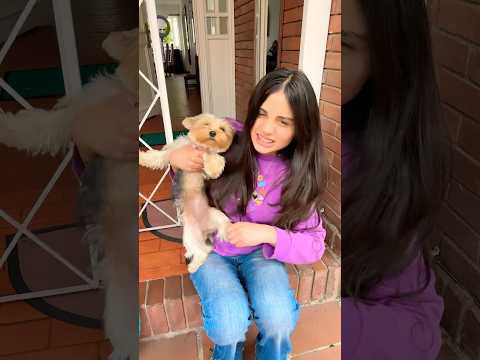 Cuido a mi hijo #sarcas #funny #sarcastic1 #ㅇyㅇ #comedy #humor #seguimi #shortsfeed #shorts thumbnail