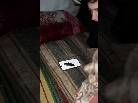 مقلب الصوصور!! thumbnail