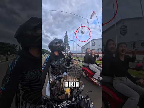 Karena Merasa Kasihan, Cowok ini Ngelepasin Banyak Burung Dari Sangkar yang Kecil? thumbnail