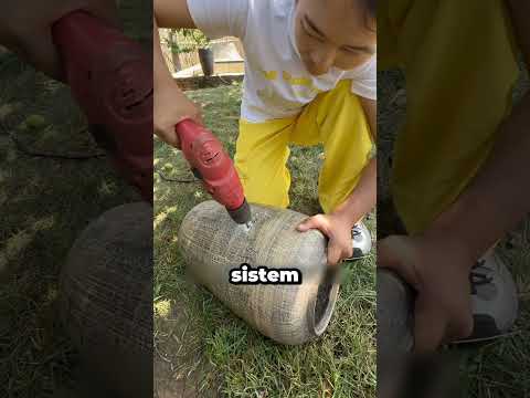 Kucing Jalanan Temukan Surga Baru thumbnail