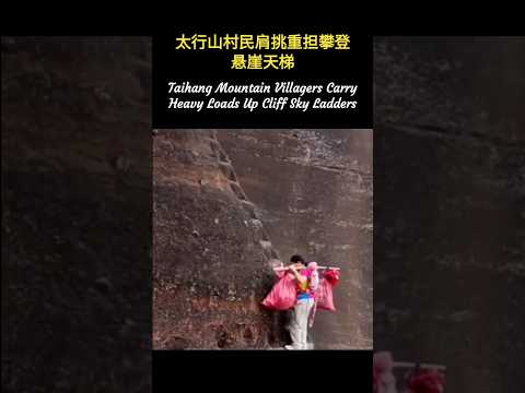 🇨🇳 悬崖再陡，也挡不住活下去的决心 🇬🇧 No Cliff Is Steep Enough to Stop the Determination to Live thumbnail