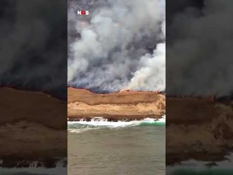 Man strandt op onbewoond eiland, steekt per ongeluk alles in brand thumbnail