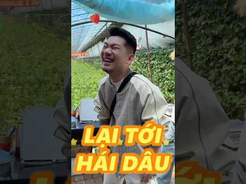 LẠI GHÉ QUA THĂM VƯỜN DÂU BÀ CHỊ thumbnail