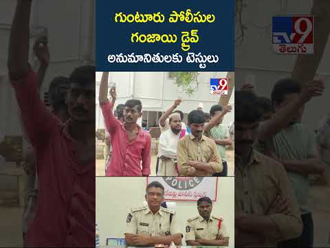 గుంటూరు పోలీసుల గంజాయి డ్రైవ్ అనుమానితులకు టెస్టులు - TV9 thumbnail