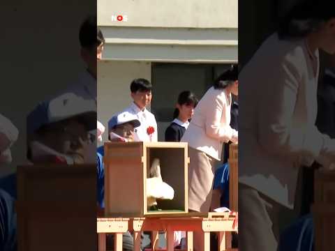 Japan laat bijna uitgestorven vogels vrij in natuur thumbnail