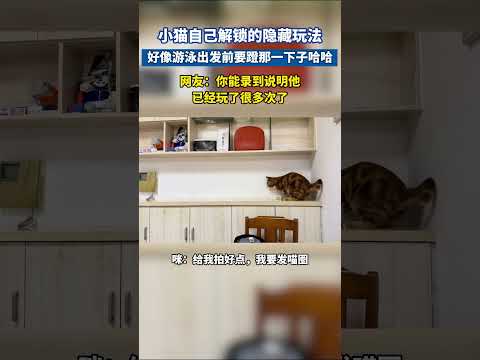小猫自己解锁的隐藏玩法，好像游泳出发前要蹬那一下子哈哈#貓咪日常 #猫咪迷惑行为 #萌宠出道计划 #萌宠成精了 #搞笑日常 thumbnail