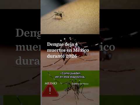 Salud reporta 4 muertes por dengue y más de 2 mil casos en México durante 2026 thumbnail