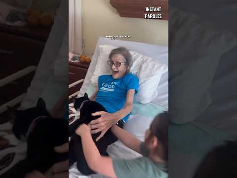 La réaction de cette femme âgée en retrouvant son chat en plein milieu de sa chambre d’hôpital thumbnail