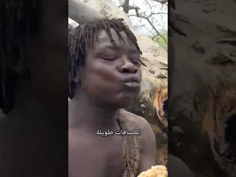 قبيلة هدزابي في تنزانيا 🇹🇿 thumbnail