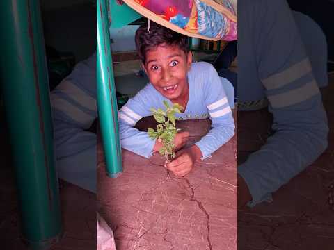 Pranesh prank 😂 தூங்குற Dadக்கு secret tickle 🤣 enna reaction? 🤯 #tamilshorts #familycomedy #prank thumbnail