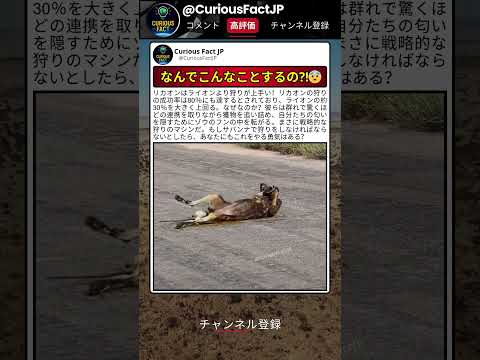 匂い消すためにそこまでやるのか… thumbnail