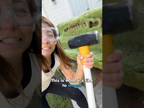 DESTROYING My Chia Pet Piano thumbnail