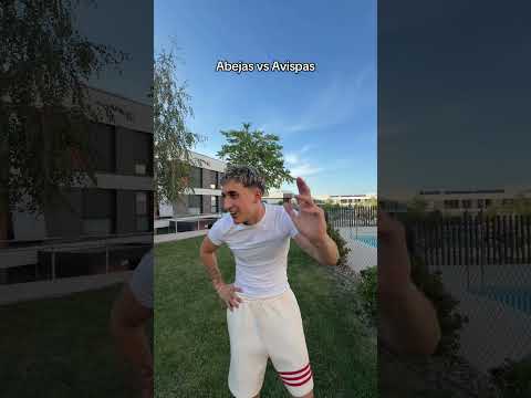 Aveja VS Avispas thumbnail