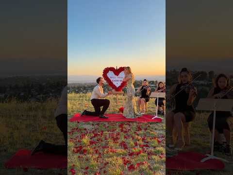 Proposal fail ?? #hannahstocking #shorts thumbnail