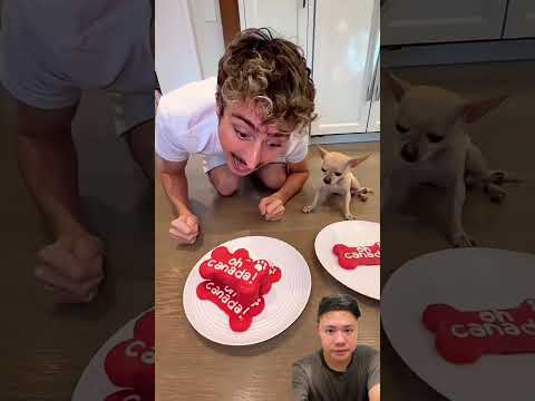 Makanan doggie ditukar⁉️ thumbnail