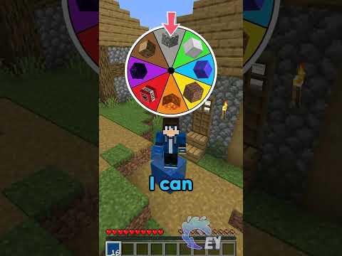 Minecraft, But I Can Only Touch Your Block… thumbnail