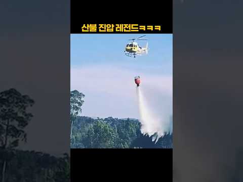산불 진압 레전드 ㅋㅋㅋ thumbnail