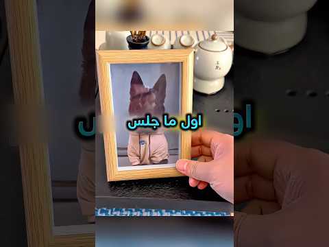 اشتاق لكلبه المفقود لكن فجأة صار كذا !! ❤️‍? #youtubeshorts thumbnail