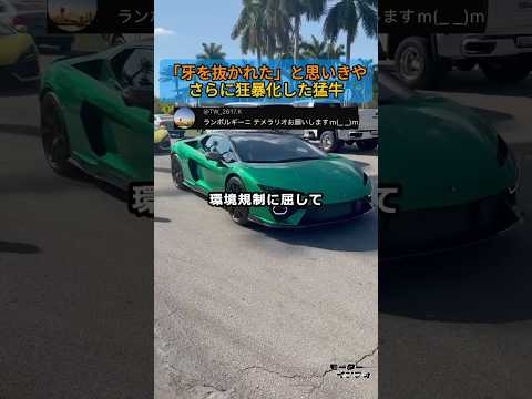 「牙を抜かれた」と思いきや、さらに狂暴化した猛牛 thumbnail