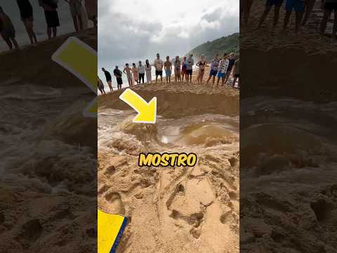 LA SITUAZIONE È DEGENERATA DISTRUGGENDO LA SPIAGGIA! ? #virale #divertente thumbnail