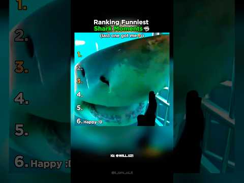 Ranking The Funniest Shark Moments Part 2 thumbnail