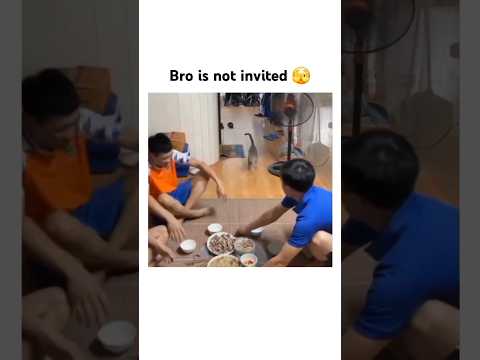 A GUEST who comes during MEALTIME 🍽️ thumbnail