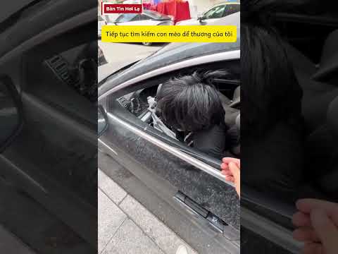 Tiếp tục tìm kiếm con mèo thất lạc của tôi | Bản Tin Hơi Lạ #shorts thumbnail