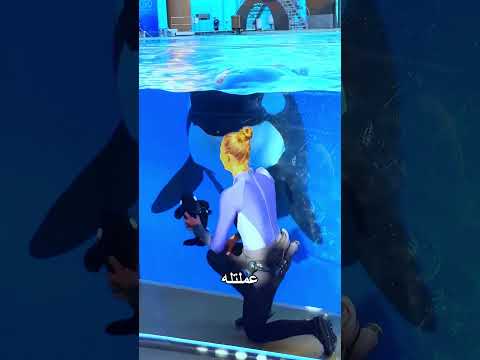 دولفين اتخدع بلعبة كيوت ?? thumbnail