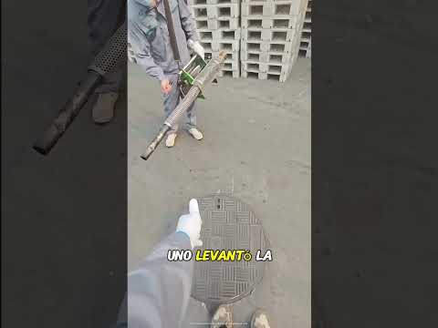 El drenaje estaba lleno de mosquitos thumbnail
