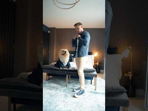 Weekend ready 🦁🫶🏼👱🏼‍♂️ What’s your plans? #shorts thumbnail