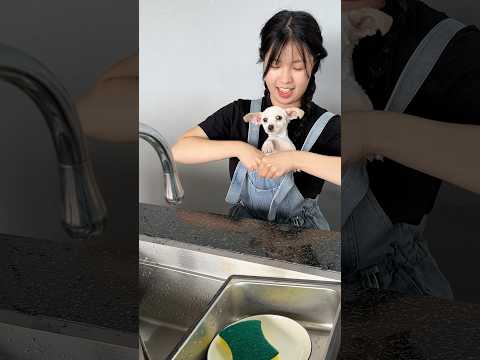 Cute poodle 🐶 | ToRung thumbnail