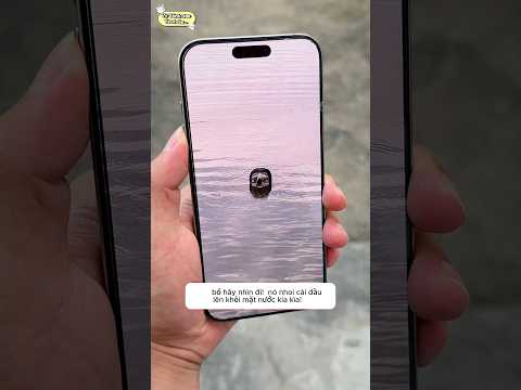 Phát hiện con vật kì lạ ở dưới hồ nước nguy hiểm thumbnail