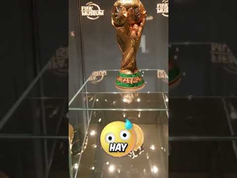 Estas fueron todas las consecuencias que tuvo por tocar el trofeo del mundial! thumbnail