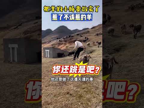 把羊的小娇妻给卖了，惹了不该惹的羊 #感人壹幕 #大熱門 #影視解説 #影视聚焦 #搞笑 #funny #精彩影视 #正能量 #automobile #熱門 thumbnail