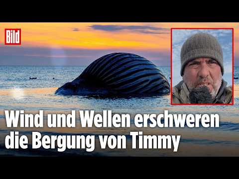 ANHOLT: Neuer Bergungsversuch von Timmy! Akute Explosionsgefahr thumbnail